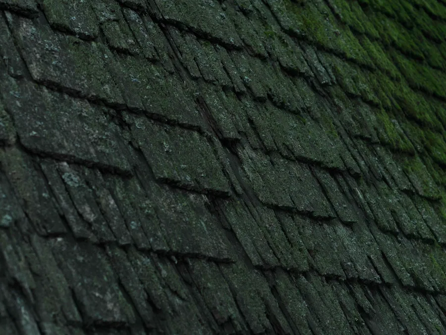 Roof Repair or Roof Replacement: How to Tell Which You Need