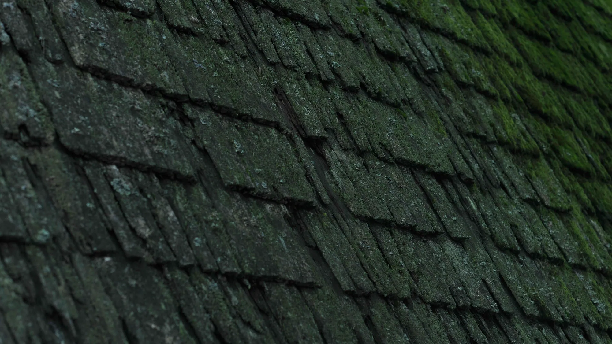 Roof Repair or Roof Replacement: How to Tell Which You Need